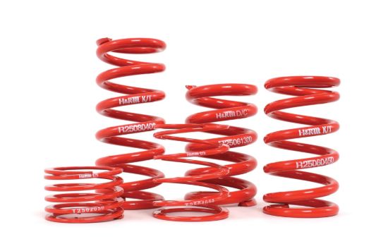 Picture of H&R Special Springs LP Coil Spring - ZF060-050