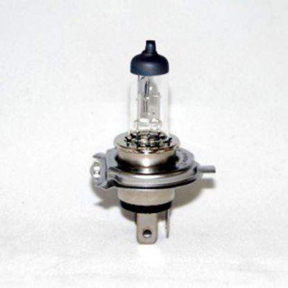 Picture of KC HiLiTES Multi-Purpose Light Bulb - 2554