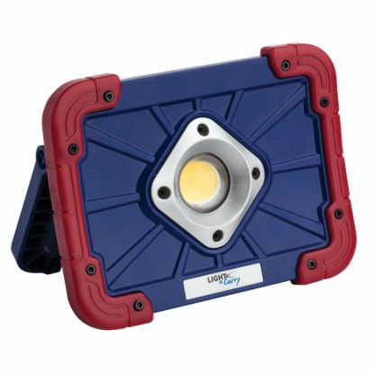 Picture of Light-N-Carry Flood Light - LNC2150