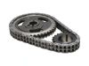 Picture of Manley Engine Timing Chain Kit - 73174