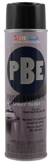 Picture of PBE Professional Paint - 20-1677