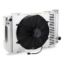 Picture of Proform Radiator - 123GS10