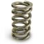 Picture of Proform Engine Valve Spring Check Spring - BB1902