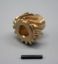Picture of PRW Distributor Drive Gear - 70408467
