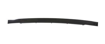 Picture of Anderson Composites Tail Light Bezel - AC-BLS0910DGCH