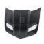Picture of Anderson Composites Hood - AC-HD1011CHCAM-BBII