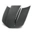 Picture of Anderson Composites Hood - AC-HD1011CHCAM-CP