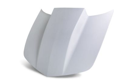Picture of Anderson Composites Hood - AC-HD1011CHCAM-CP-GF