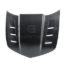 Picture of Anderson Composites Hood - AC-HD1011CHCAM-TS