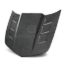 Picture of Anderson Composites Hood - AC-HD1011CHCAM-TSII