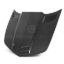 Picture of Anderson Composites Hood - AC-HD1011CHCAM-TT