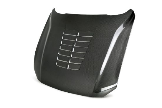 Picture of Anderson Composites Hood - AC-HD18FDMU-GT5-DS