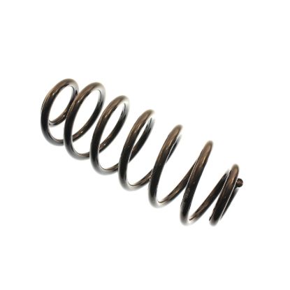 Picture of Bilstein Coil Spring - 199021