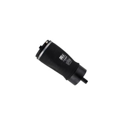 Picture of Bilstein Air Suspension Spring - 40-268446