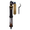 Picture of Bilstein Suspension Shock Absorber and Coil Spring Assembly - 41-338117
