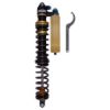 Picture of Bilstein Suspension Shock Absorber and Coil Spring Assembly - 41-338124