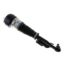 Picture of Bilstein Air Suspension Strut - 44-110482