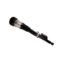 Picture of Bilstein Air Suspension Strut - 44-192075