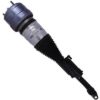 Picture of Bilstein Air Suspension Strut - 44-289294