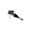 Picture of Bilstein Air Suspension Strut - 45-242007