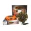 Picture of Centerforce Transmission Clutch Kit - KDF641481