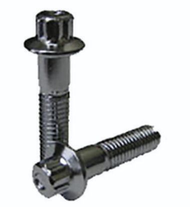 Picture of Coyote Premium Wheel Accessories Wheel Lug Nut - 33012