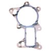 Picture of Crown Automotive Jeep Replacement Engine Water Pump Gasket - 4666068AC