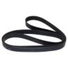 Picture of Crown Automotive Jeep Replacement Serpentine Belt - 4883445AA