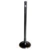 Picture of Crown Automotive Jeep Replacement Engine Intake Valve - 5047068AB