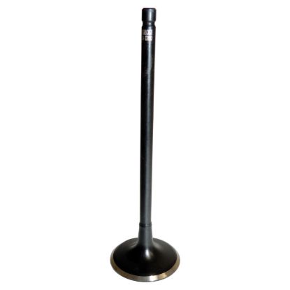 Picture of Crown Automotive Jeep Replacement Engine Intake Valve - 5047068AB