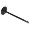 Picture of Crown Automotive Jeep Replacement Engine Intake Valve - 5184127AC