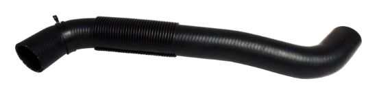 Picture of Crown Automotive Jeep Replacement Radiator Coolant Hose - 52079503AB