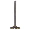 Picture of Crown Automotive Jeep Replacement Engine Intake Valve - 53006723