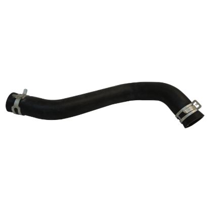 Picture of Crown Automotive Jeep Replacement Radiator Coolant Hose - 55038118AA