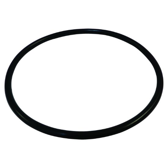 Picture of Crown Automotive Jeep Replacement Fuel Pump and Level Sensor Module Seal - 55366298AA