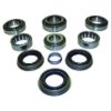 Picture of Crown Automotive Jeep Replacement Differential Rebuild Kit - C825MASKIT