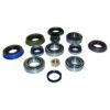 Picture of Crown Automotive Jeep Replacement Differential Rebuild Kit - D30LMASKIT
