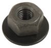 Picture of Crown Automotive Jeep Replacement Fender Molding Nut - J4200408