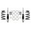 Picture of Detroit Speed - Archived Coilover Adjustable Spring Lowering Kit - 030314-DDS