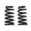 Picture of Detroit Speed - Archived Coilover Spring and Shock Assembly - 031121PDS