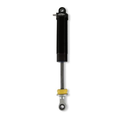 Picture of Detroit Speed - Archived Suspension Shock Absorber - 041301DS