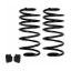 Picture of Detroit Speed - Archived Coil Spring - 041813DS