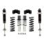Picture of Detroit Speed - Archived Coilover Adjustable Spring Lowering Kit - 042432DS