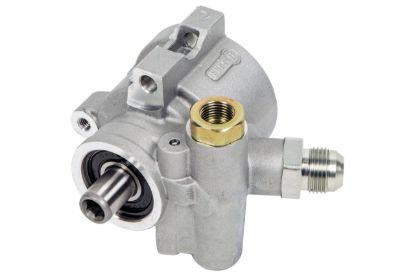 Picture of Detroit Speed - Archived Power Steering Pump - 090304DS