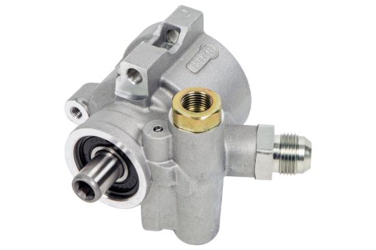 Picture of Detroit Speed - Archived Power Steering Pump - 090304DS