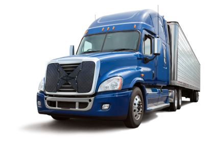 Picture of FIA Grille Screen - BT1019-3