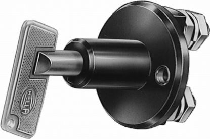 Picture of Hella Battery Cut-Off Switch - 002843001