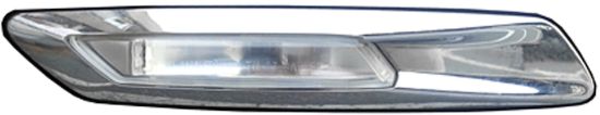 Picture of Hella Side Repeater Light - 010387051
