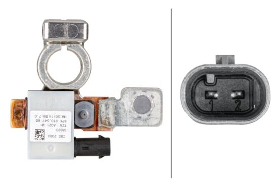 Picture of Hella Intelligent Battery Sensor (IBS) - 010547781
