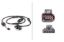 Picture of Hella ABS Wheel Speed Sensor - 012806181
